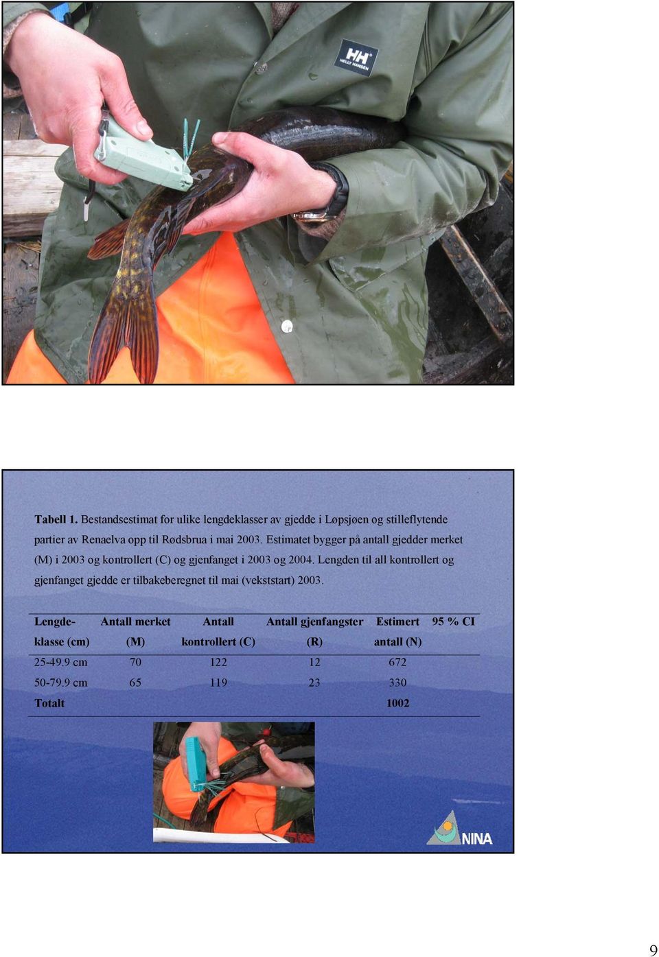 Estimatet bygger på antall gjedder merket (M) i 2003 og kontrollert (C) og gjenfanget i 2003 og 2004.