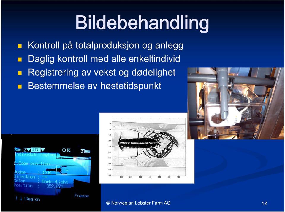 Registrering av vekst og dødelighet