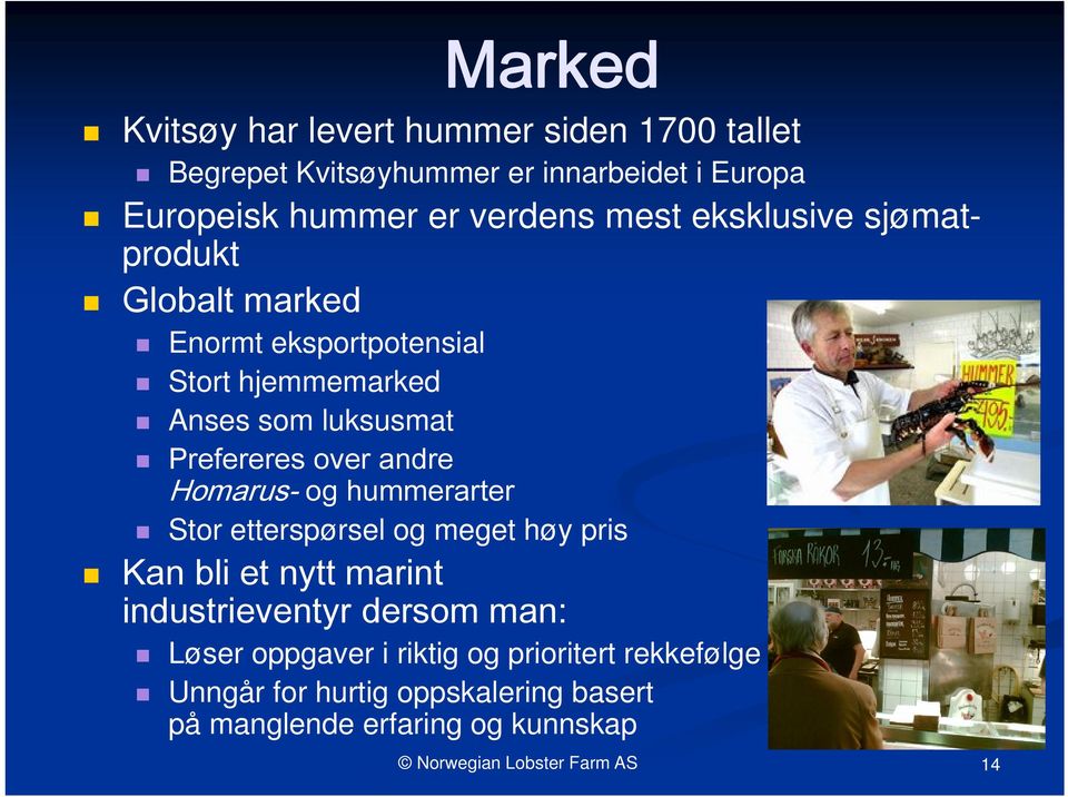 andre Homarus- og hummerarter Stor etterspørsel og meget høy pris Kan bli et nytt marint industrieventyr dersom man: Løser