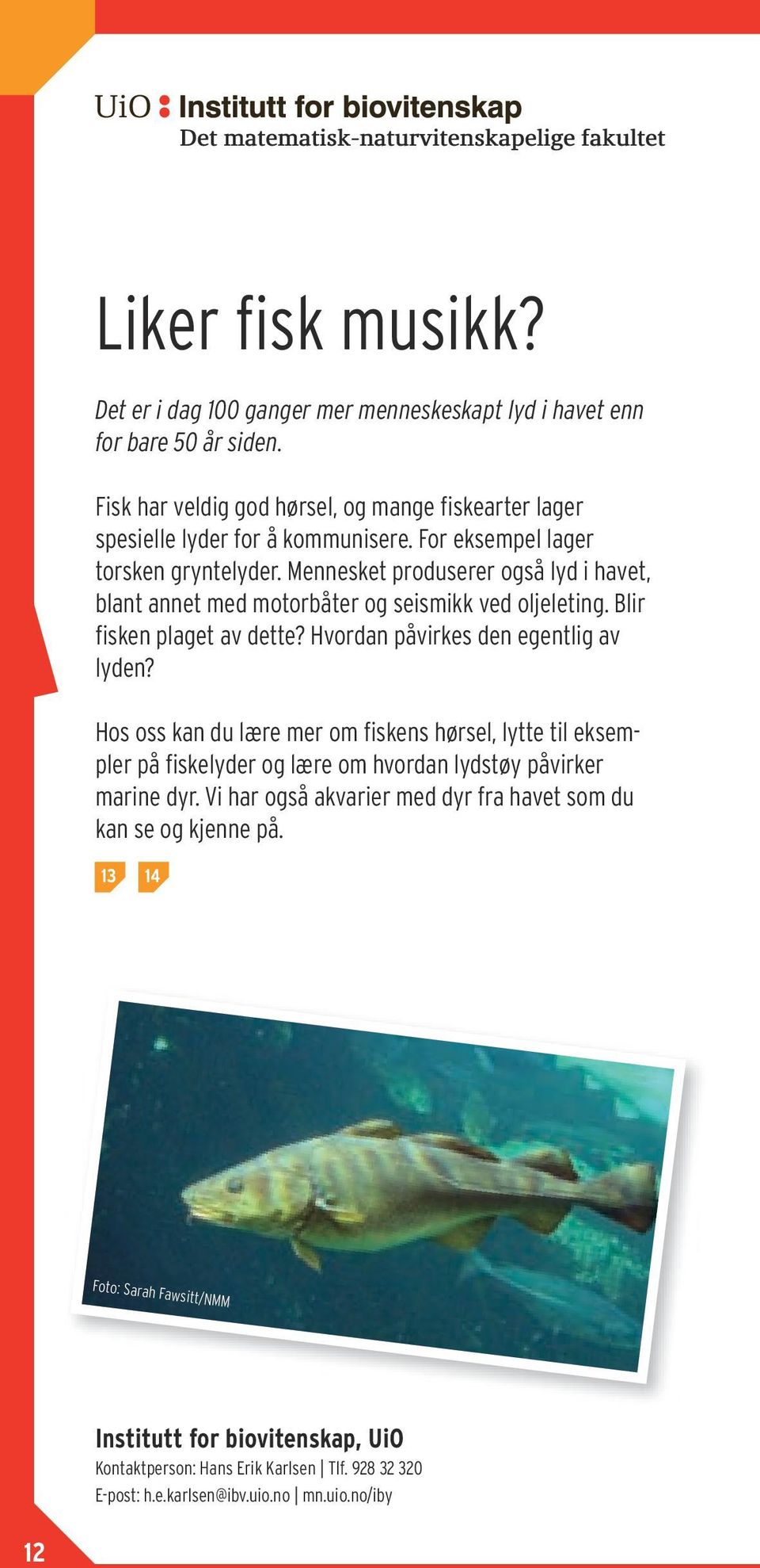 Mennesket produserer også lyd i havet, blant annet med motorbåter og seismikk ved oljeleting. Blir fisken plaget av dette? Hvordan påvirkes den egentlig av lyden?