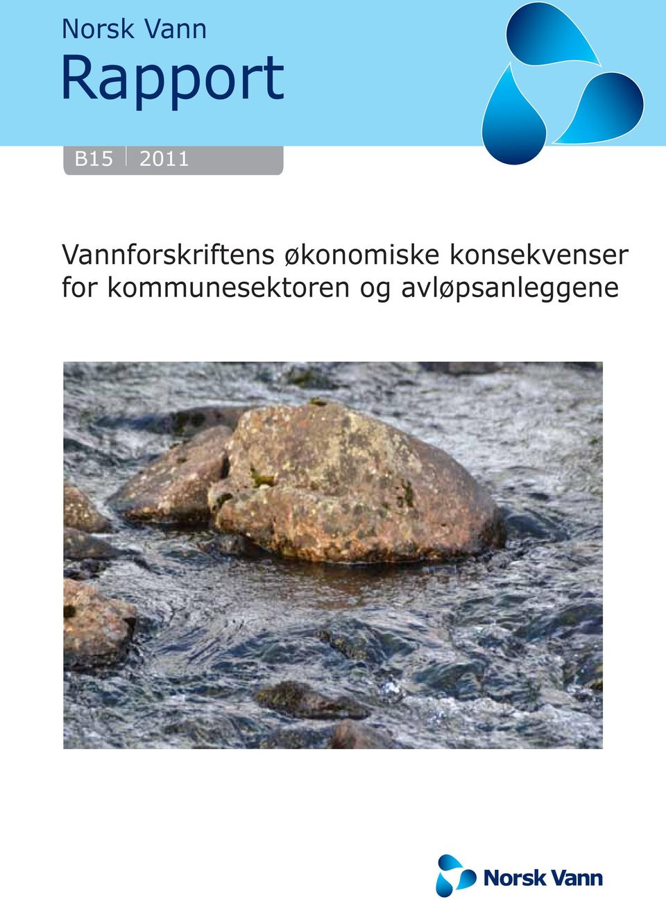 økonomiske konsekvenser