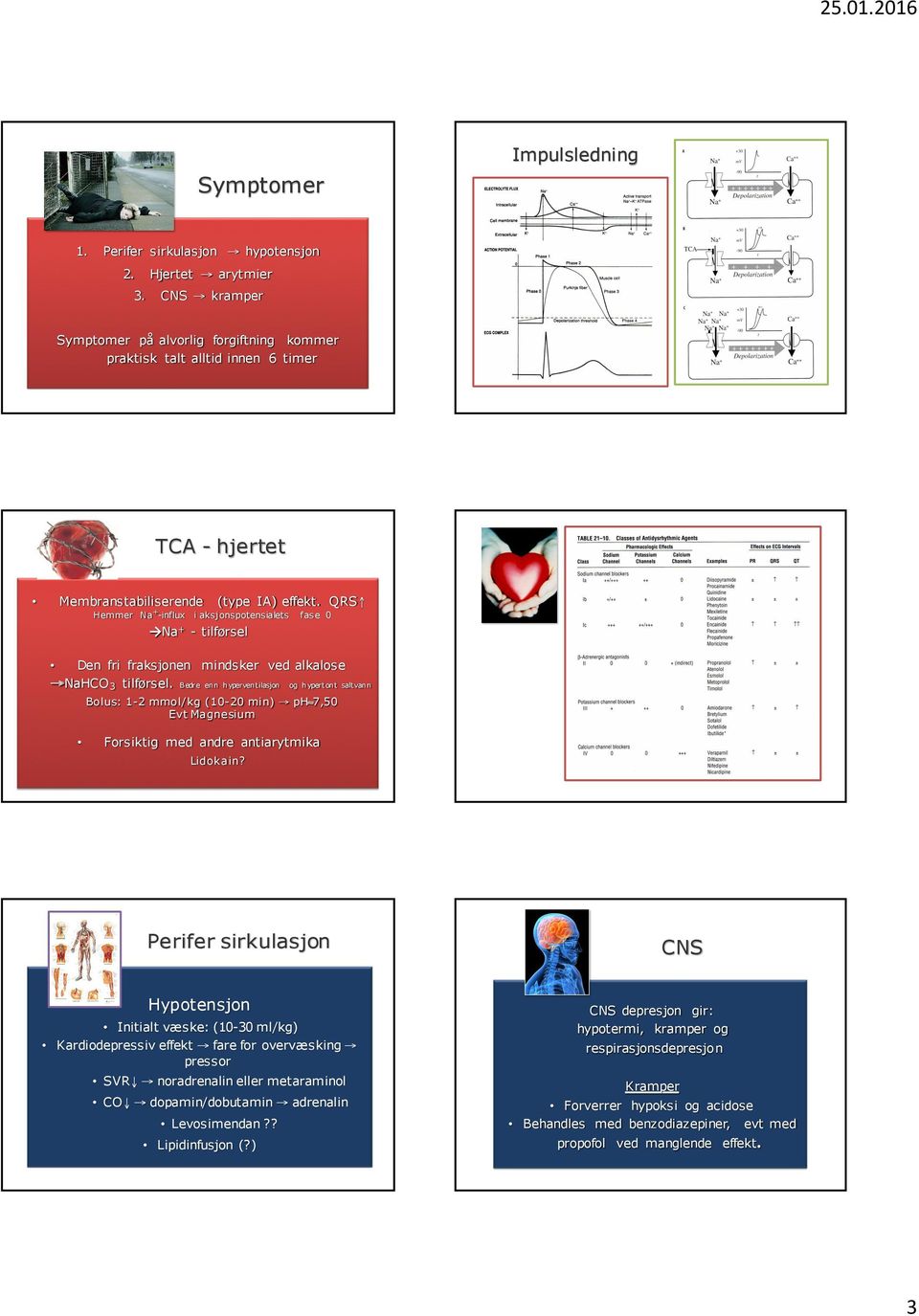 QRS Hemmer Na + -influx i aksjonspotensialets fase 0 Na + - tilførsel Den fri fraksjonen mindsker ved alkalose NaHCO 3 tilførsel.