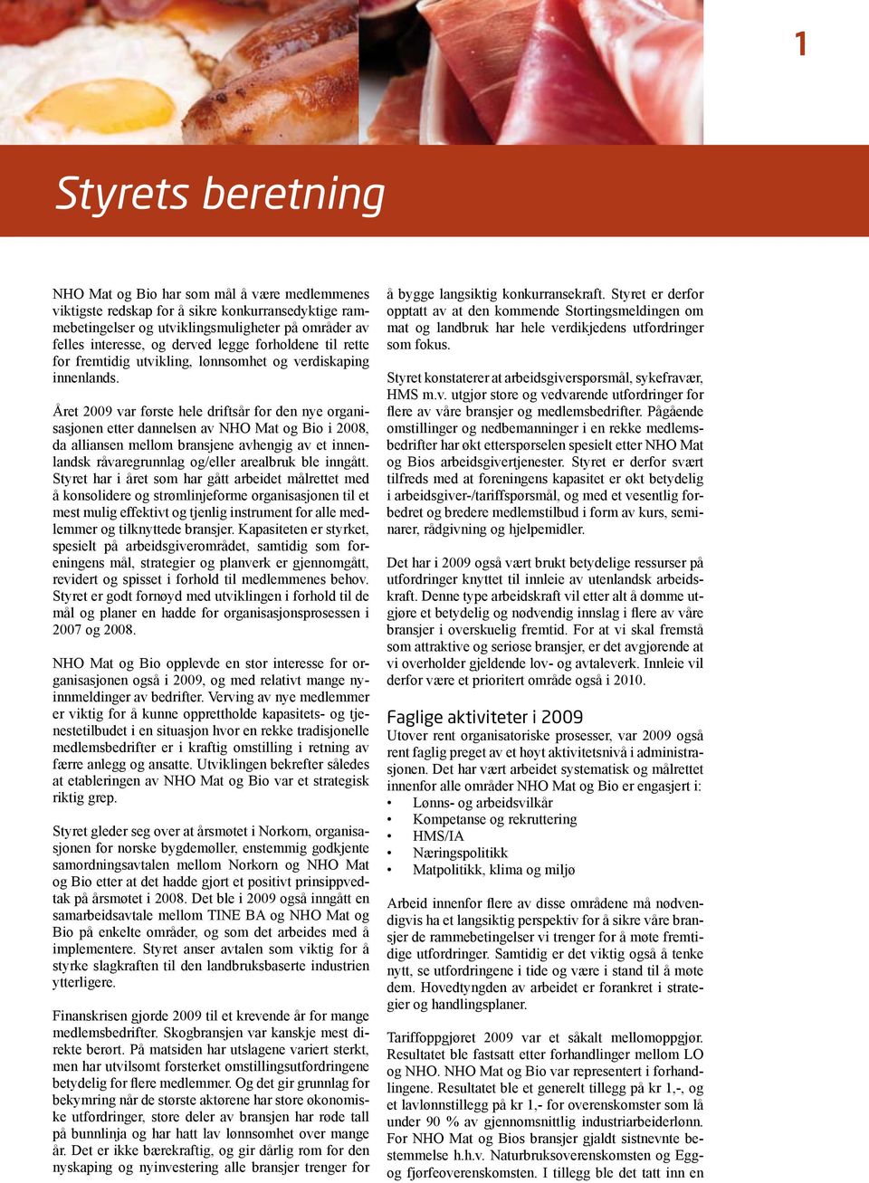 Året 2009 var første hele driftsår for den nye organisasjonen etter dannelsen av NHO Mat og Bio i 2008, da alliansen mellom bransjene avhengig av et innenlandsk råvaregrunnlag og/eller arealbruk ble