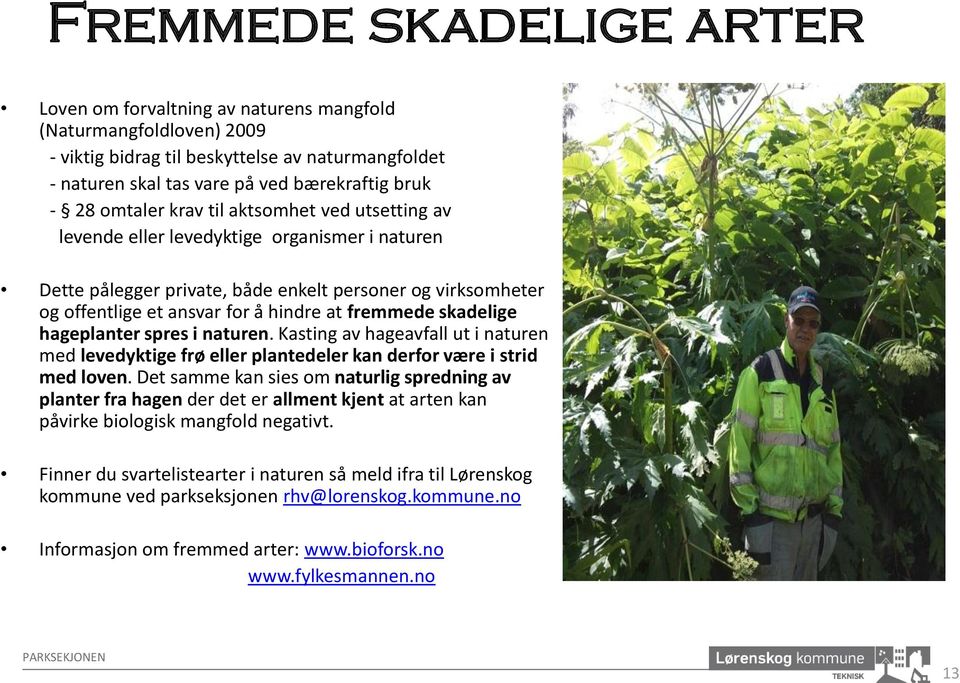 fremmede skadelige hageplanter spres i naturen. Kasting av hageavfall ut i naturen med levedyktige frø eller plantedeler kan derfor være i strid med loven.