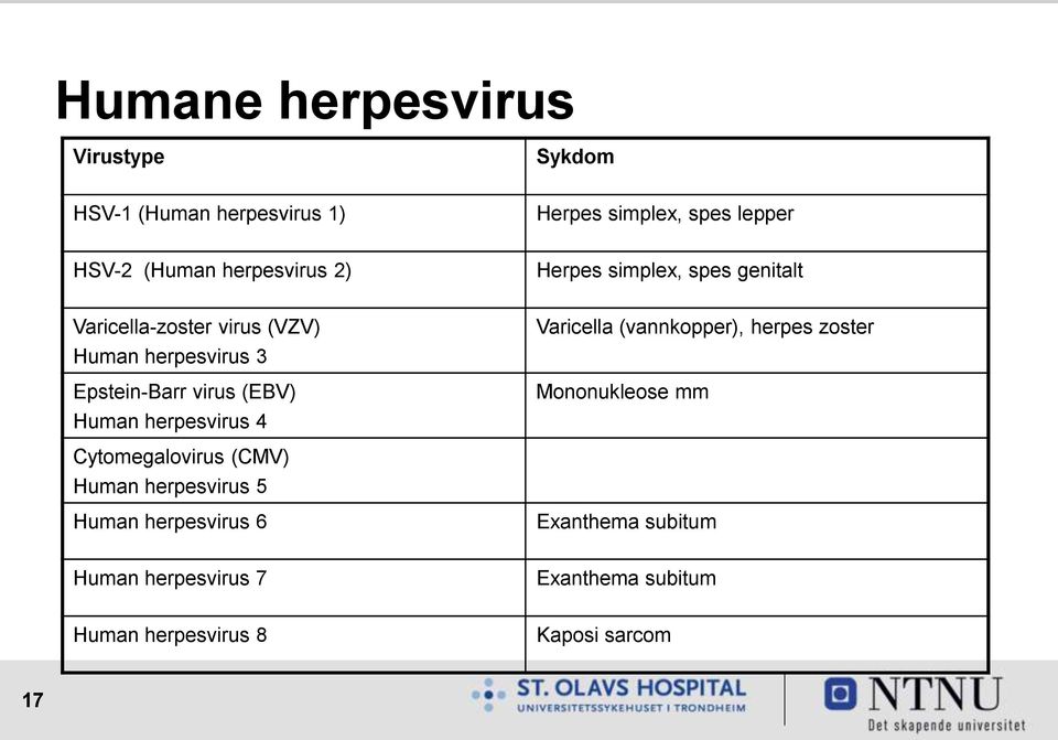 (EBV) Human herpesvirus 4 Varicella (vannkopper), herpes zoster Mononukleose mm Cytomegalovirus (CMV) Human