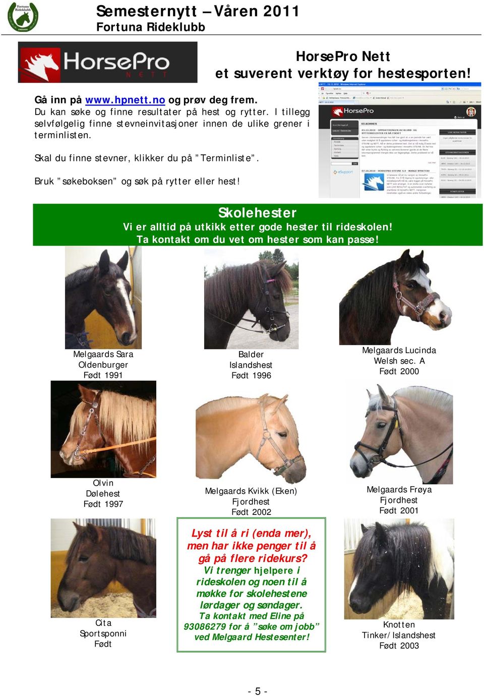 Skolehester Vi er alltid på utkikk etter gode hester til rideskolen! Ta kontakt om du vet om hester som kan passe!