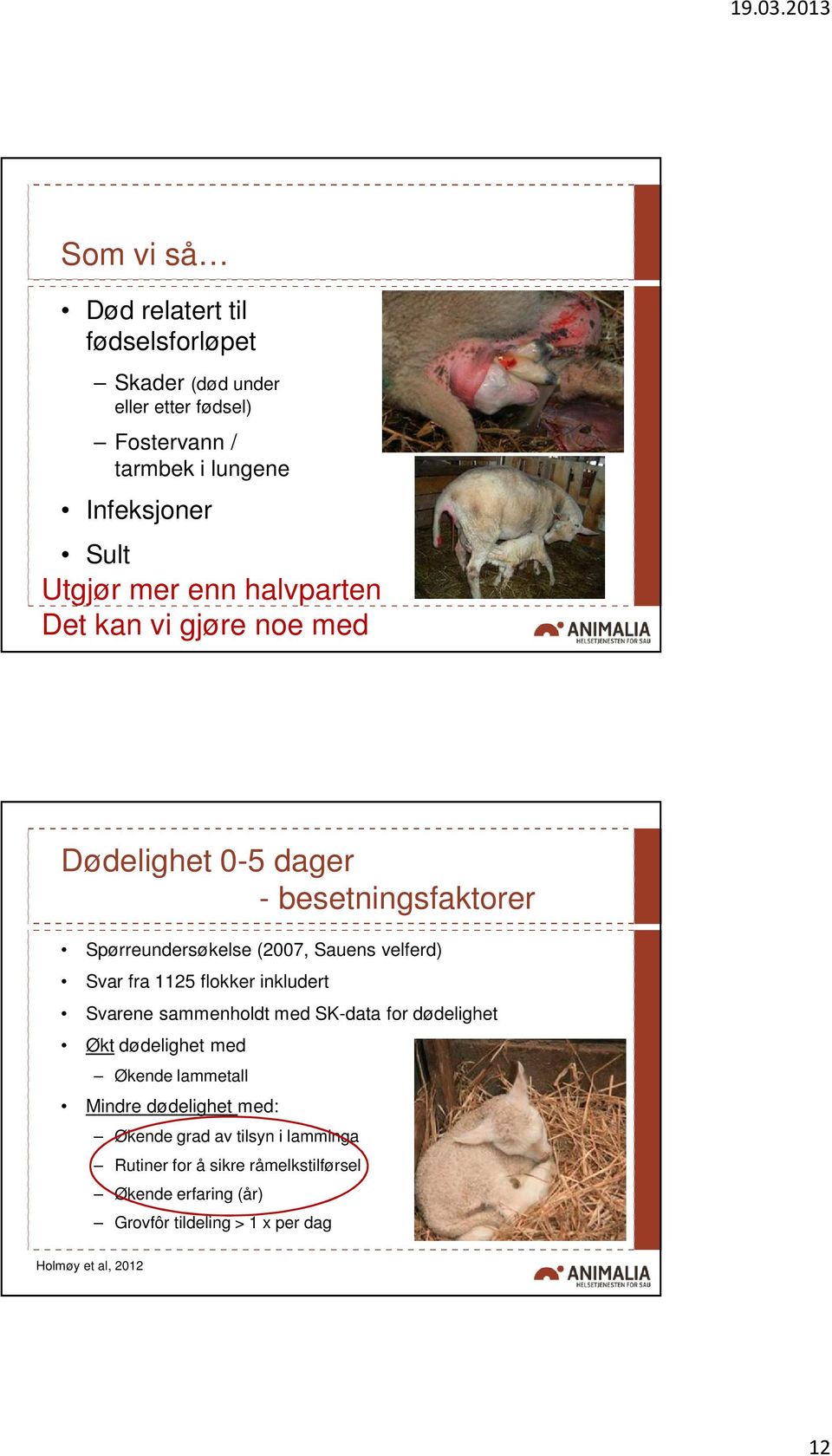 1125 flokker inkludert Svarene sammenholdt med SK-data for dødelighet Økt dødelighet med Økende lammetall Mindre dødelighet med: Økende