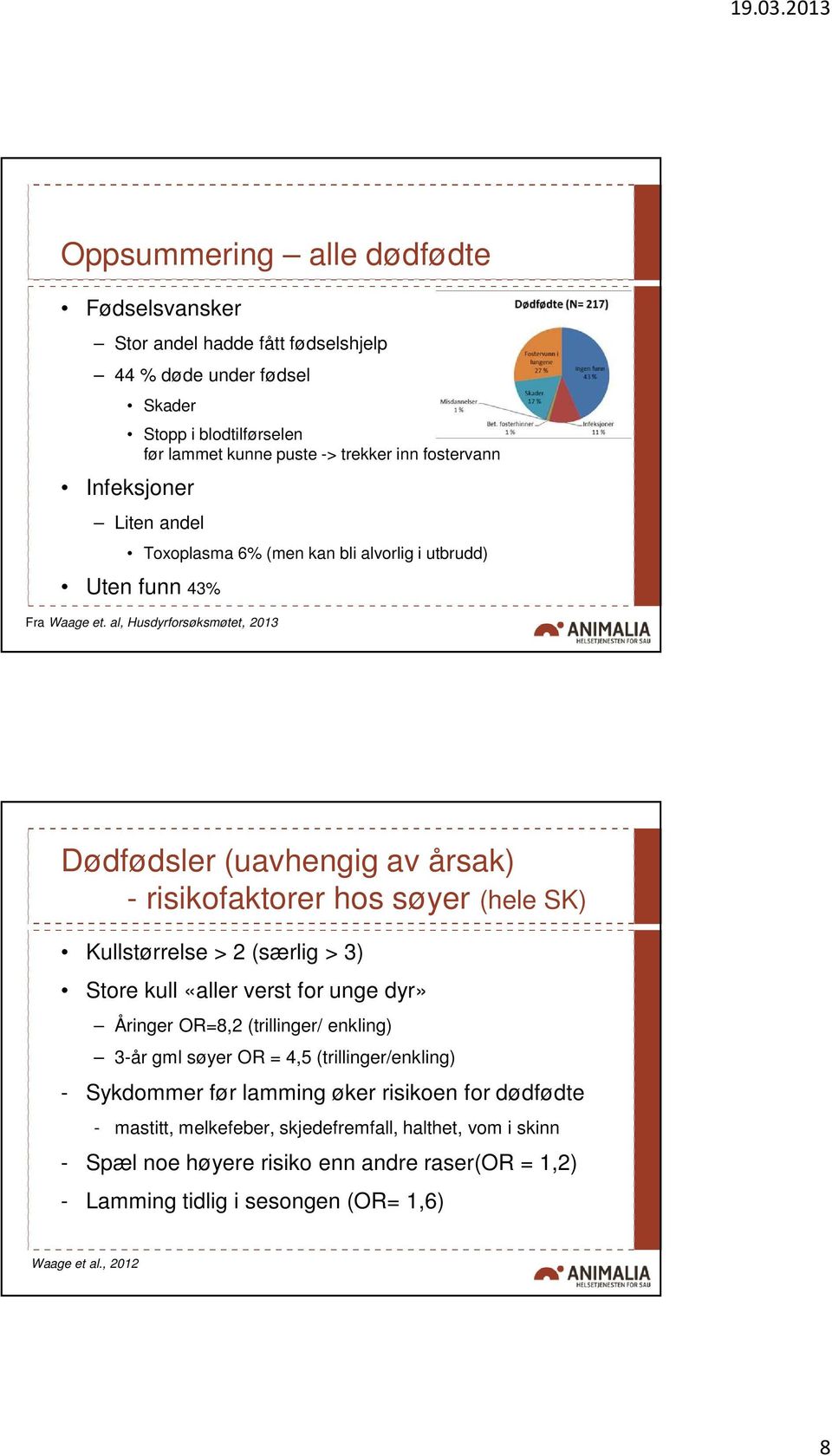 al, Husdyrforsøksmøtet, 2013 Dødfødsler (uavhengig av årsak) - risikofaktorer hos søyer (hele SK) Kullstørrelse > 2 (særlig > 3) Store kull «aller verst for unge dyr» Åringer OR=8,2