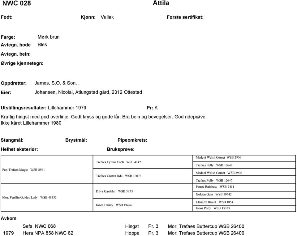 Ikke kåret Lillehammer 1980 Stangmål: Helhet eksteriør: Brystmål: Pipeomkrets: Far: Trefaes Magic WSB 8561 Mor: Penffin Golden Lady WSB 48432 Trefaes Cymro Coch WSB 4142 Trefaes Groten Ddu WSB 16076