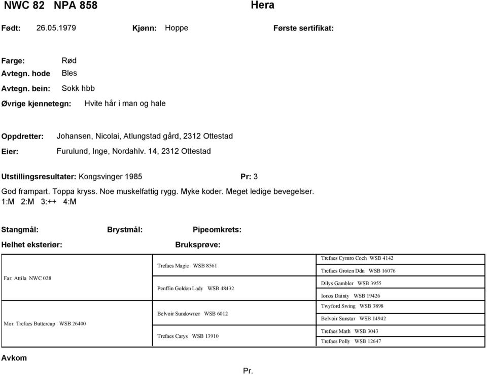 14, 2312 Ottestad Utstillingsresultater: Kongsvinger 1985 Pr: 3 God frampart. Toppa kryss. Noe muskelfattig rygg. Myke koder. Meget ledige bevegelser.