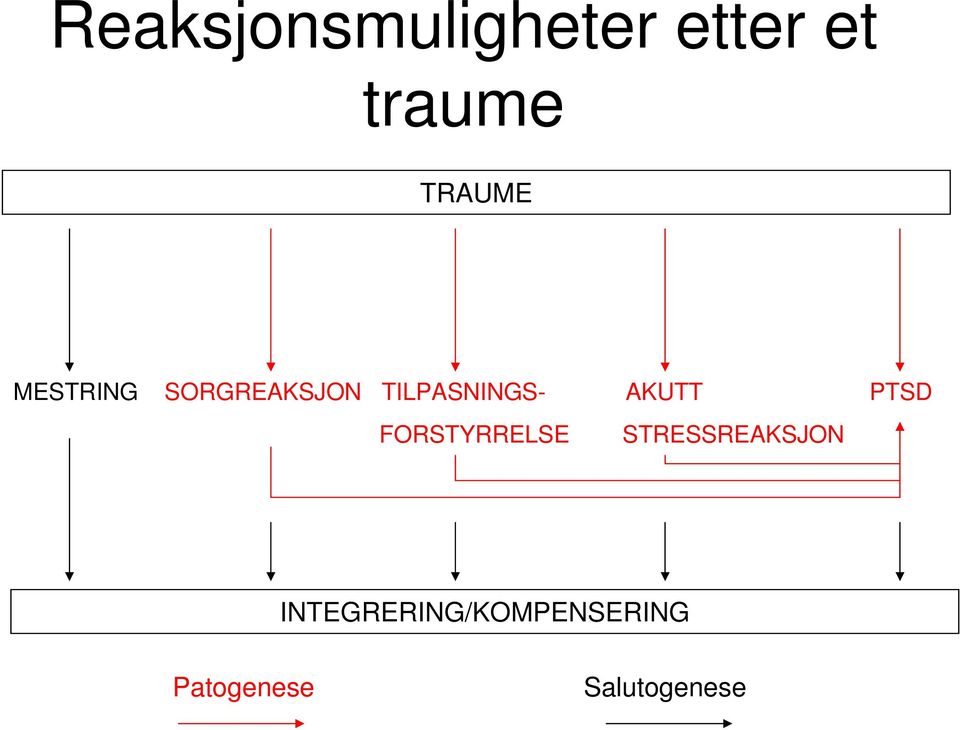 AKUTT PTSD FORSTYRRELSE STRESSREAKSJON