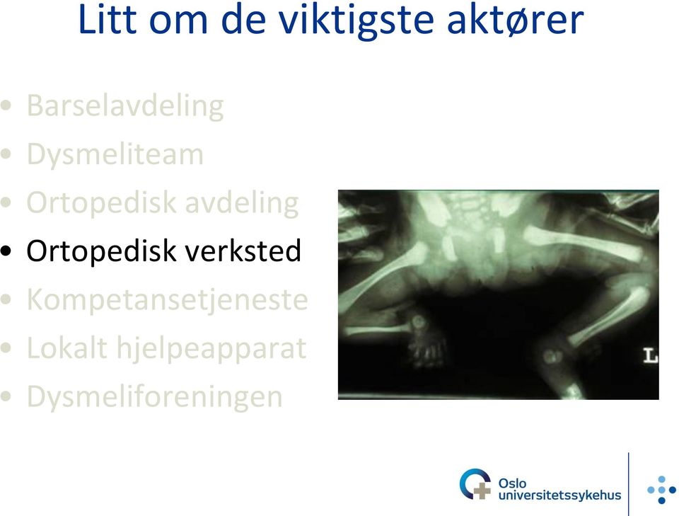 avdeling Ortopedisk verksted