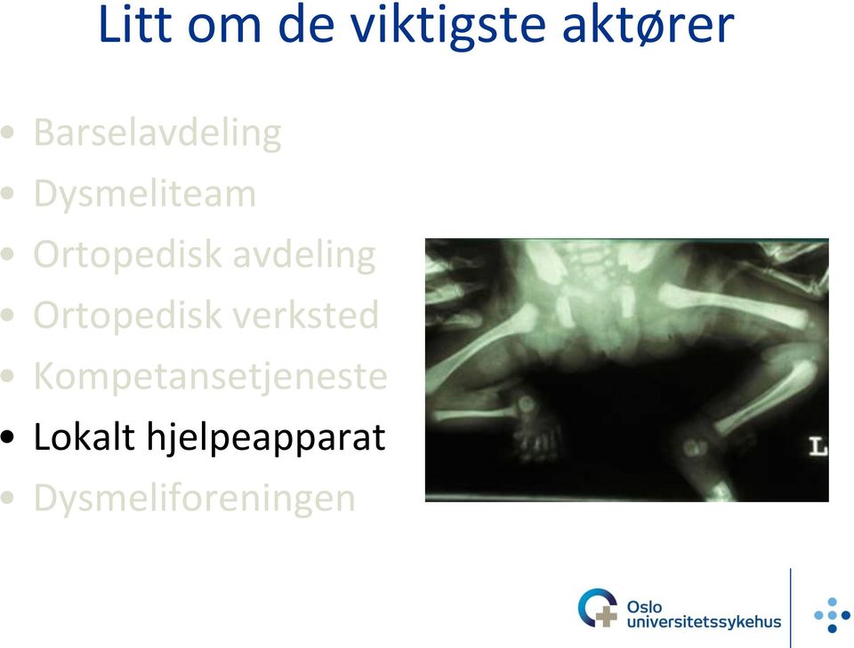 avdeling Ortopedisk verksted