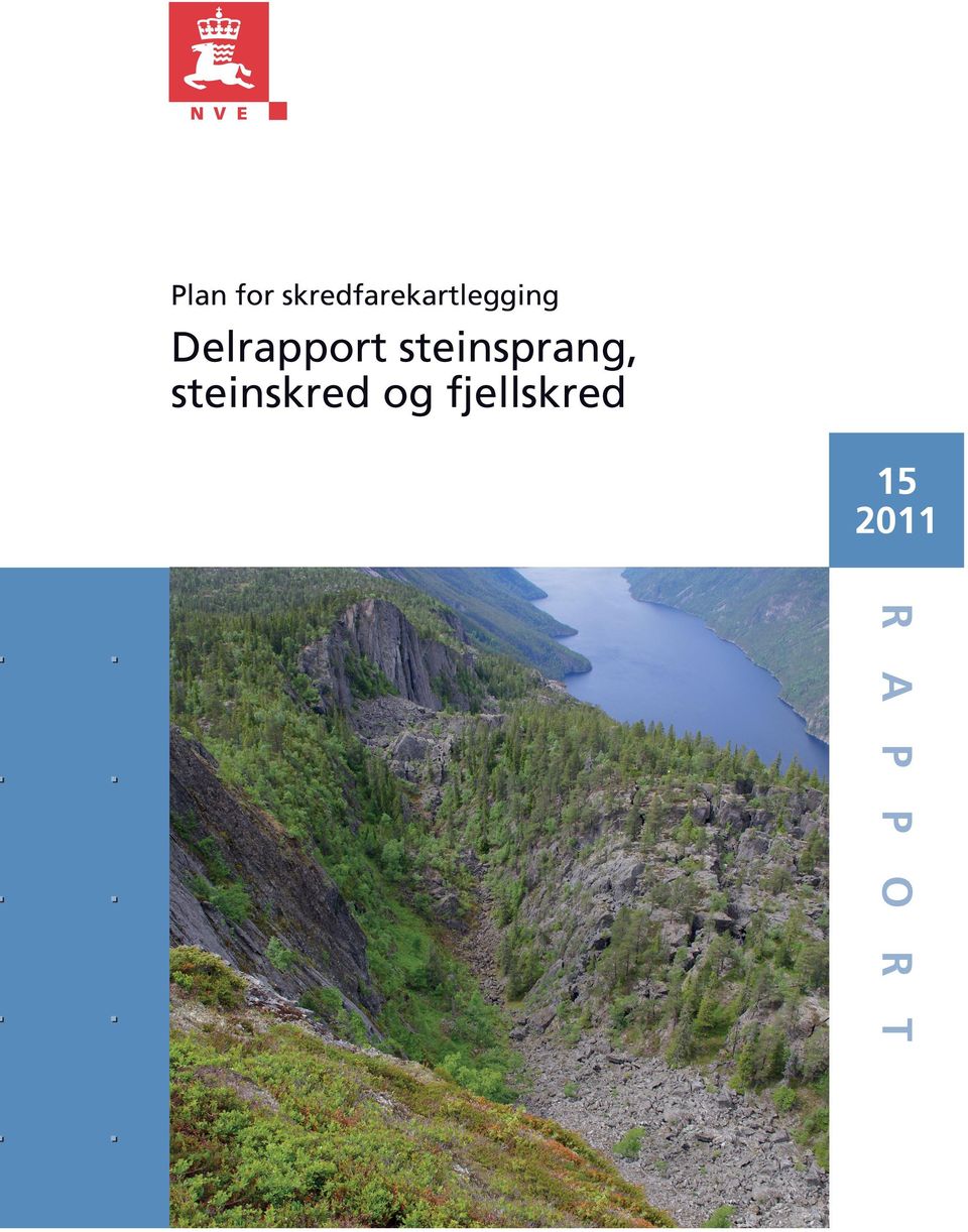 Delrapport steinsprang,