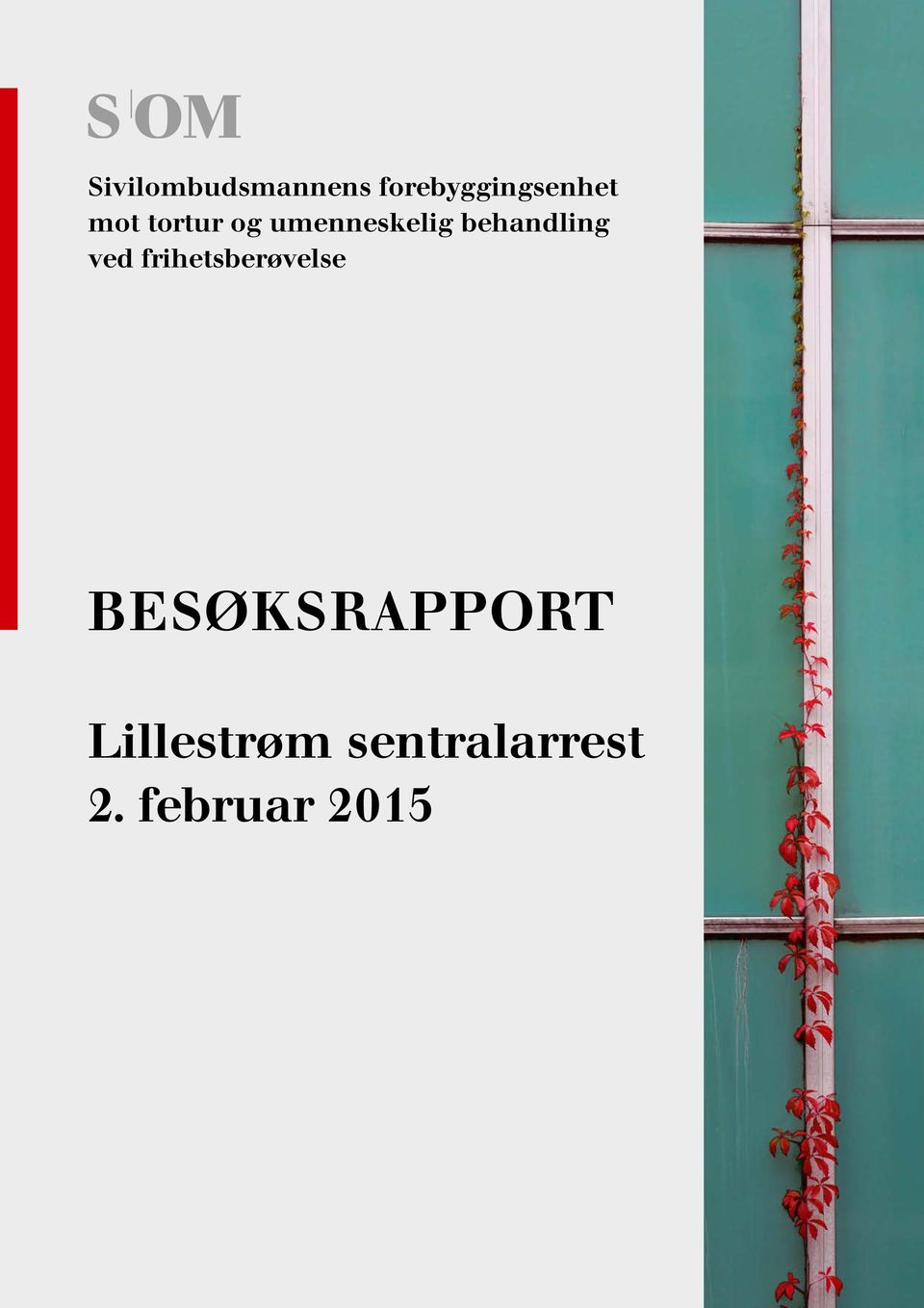 ved frihetsberøvelse BESØKSRAPPORT