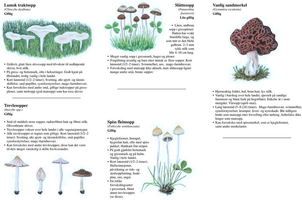 Kan forveksles med andre små, giftige traktsopper på gressplener, samt melsopp (god matsopp) som har rosa skiver. Trevlesopper (Inocybe spp.