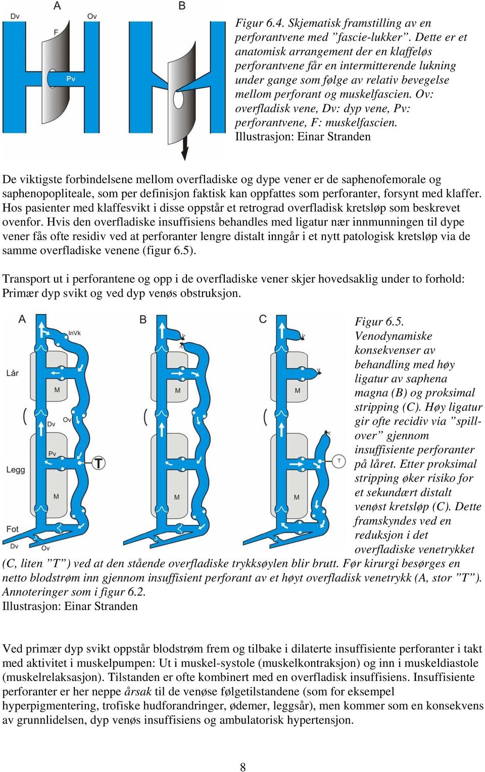 Ov: overfladisk vene, Dv: dyp vene, Pv: perforantvene, F: muskelfascien.