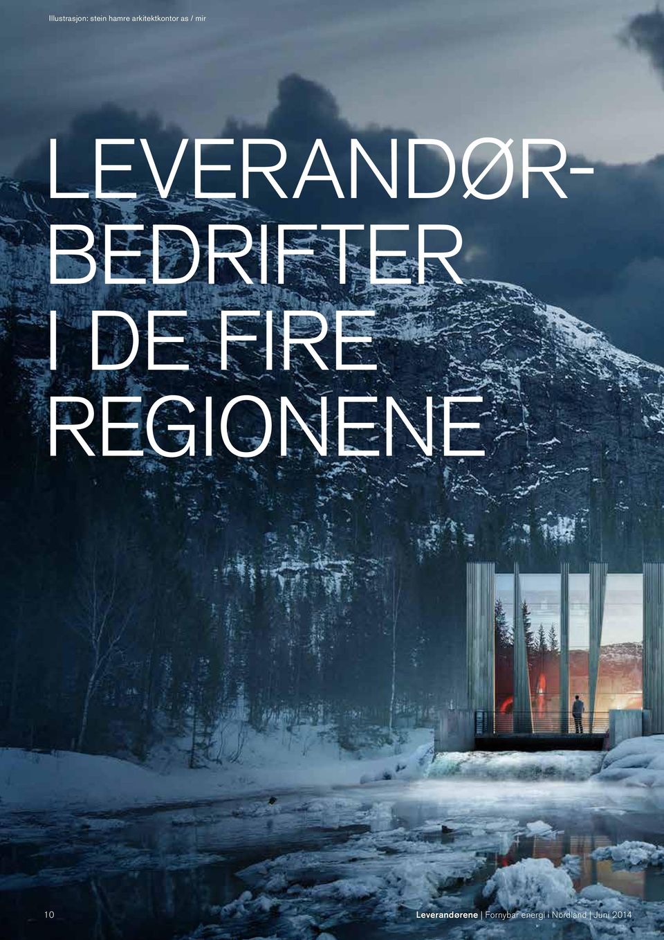 BEDRIFTER I DE FIRE REGIONENE 10