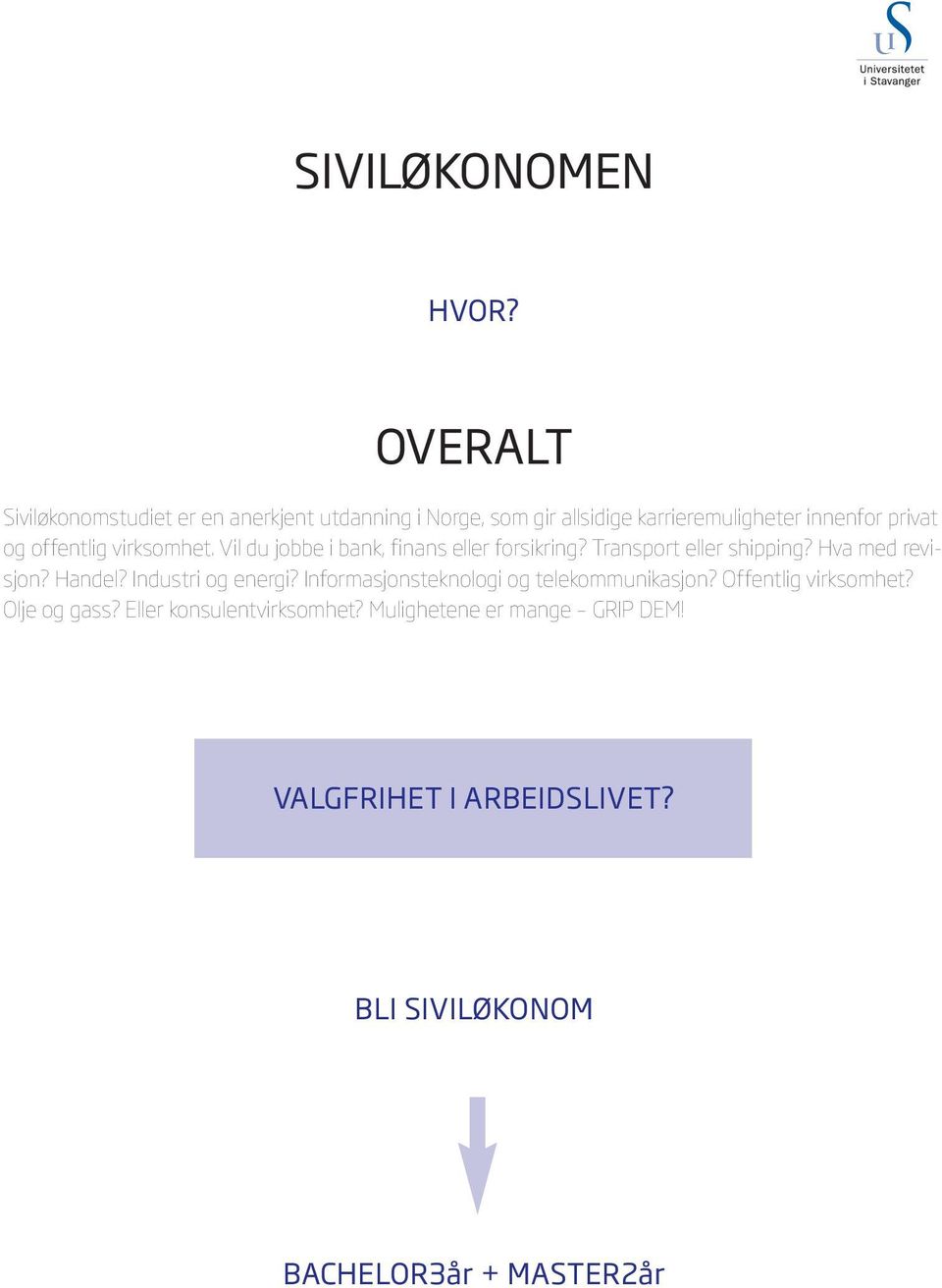 offentlig virksomhet. Vil du jobbe i bank, finans eller forsikring? Transport eller shipping? Hva med revisjon? Handel?