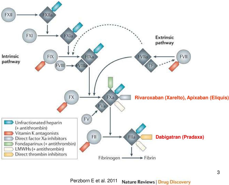 (Eliquis) Dabigatran