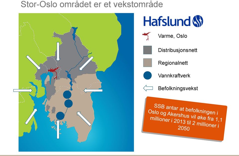 Distribusjonsnett