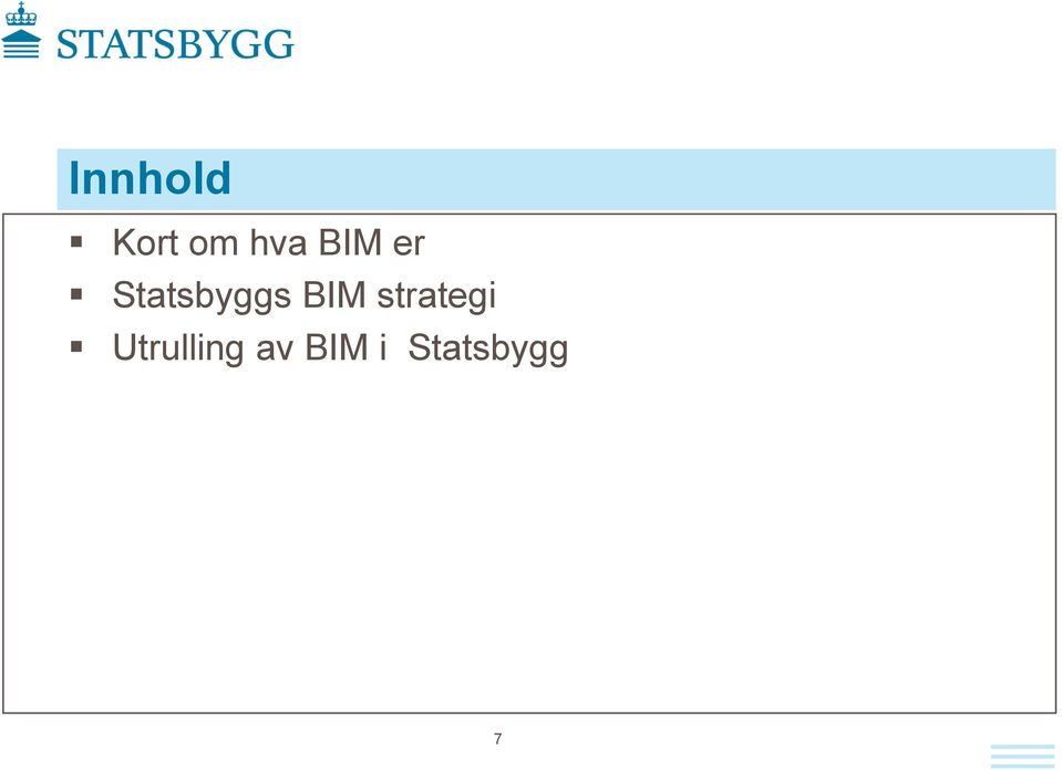 BIM strategi