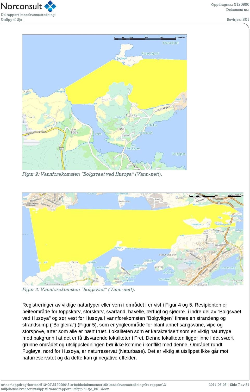 i indre del av "Bolgsvaet ved Husøya" og sør vest for Husøya i vannforekomsten "Bolgvågen" finnes en strandeng og strandsump ("Bolgleira") (Figur 5), som er yngleområde for blant annet sangsvane,