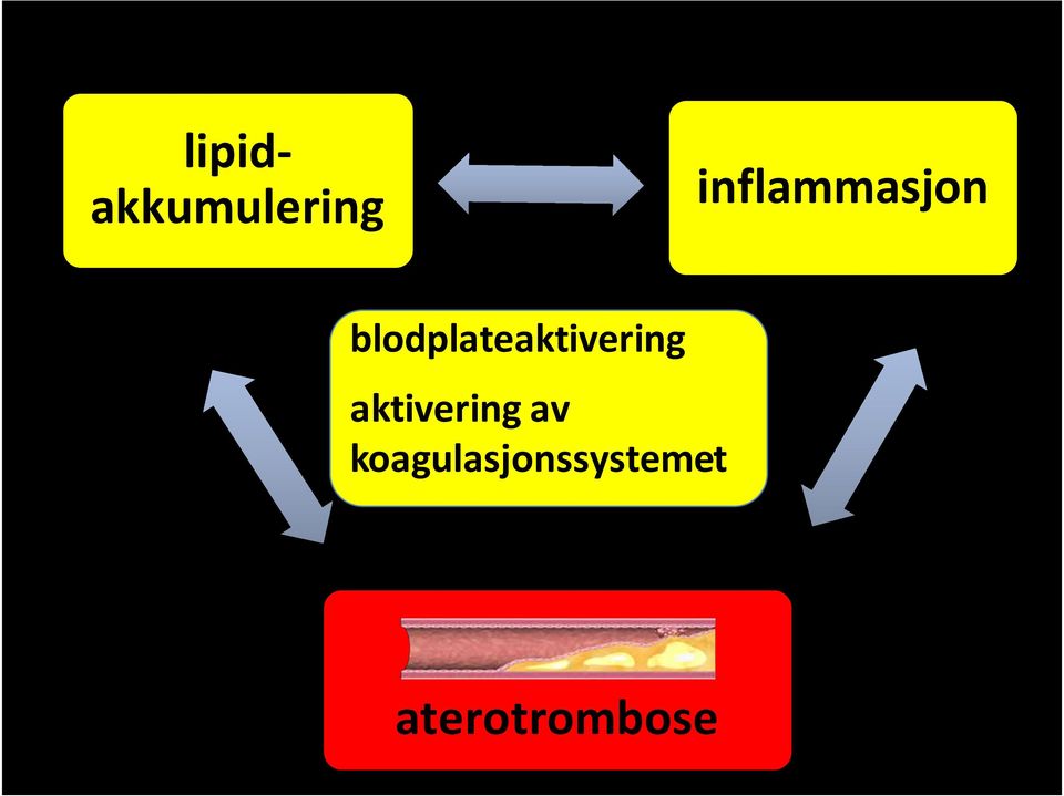 blodplateaktivering