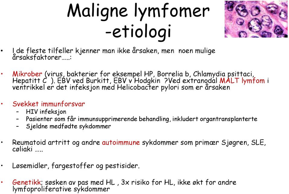 Ved extranodal MALT lymfom i ventrikkel er det infeksjon med Helicobacter pylori som er årsaken Svekket immunforsvar HIV infeksjon Pasienter som får immunsupprimerende