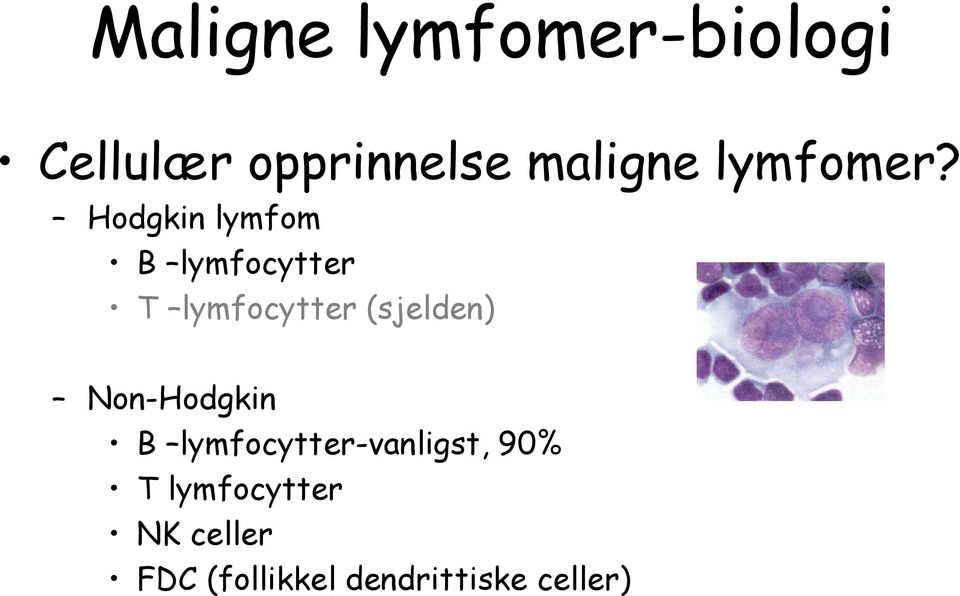 Hodgkin lymfom B lymfocytter T lymfocytter (sjelden)