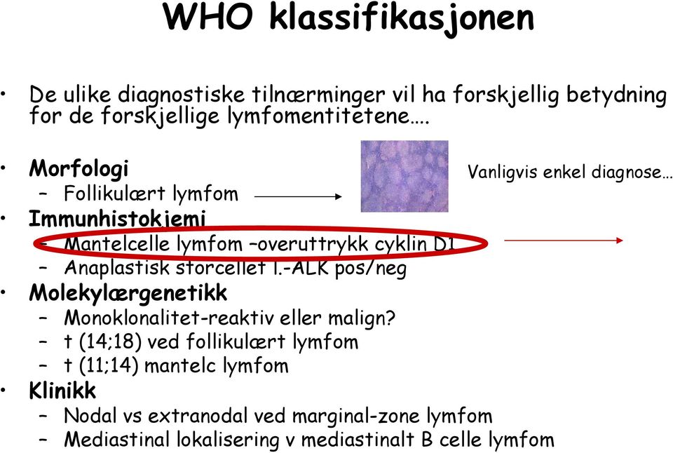 storcellet l.-alk pos/neg Molekylærgenetikk Monoklonalitet-reaktiv eller malign?