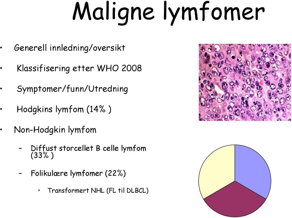 ) Non-Hodgkin lymfom Diffust storcellet B celle lymfom (33%