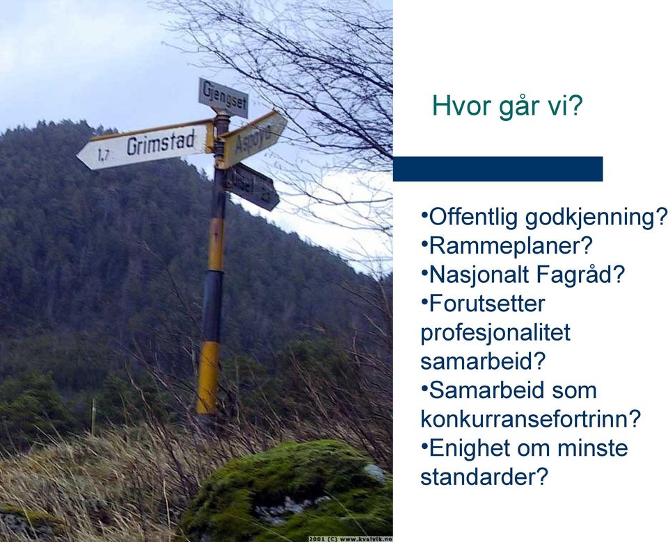 Forutsetter profesjonalitet samarbeid?