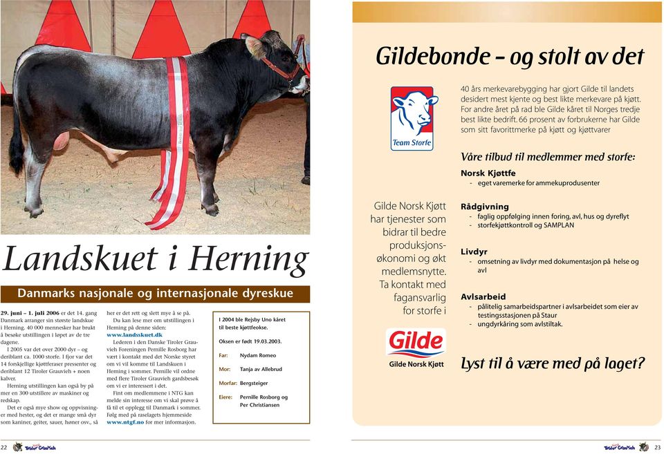 66 prosent av forbrukerne har Gilde som sitt favorittmerke på kjøtt og kjøttvarer Våre tilbud til medlemmer med storfe: Norsk Kjøttfe - eget varemerke for ammekuprodusenter Landskuet i Herning