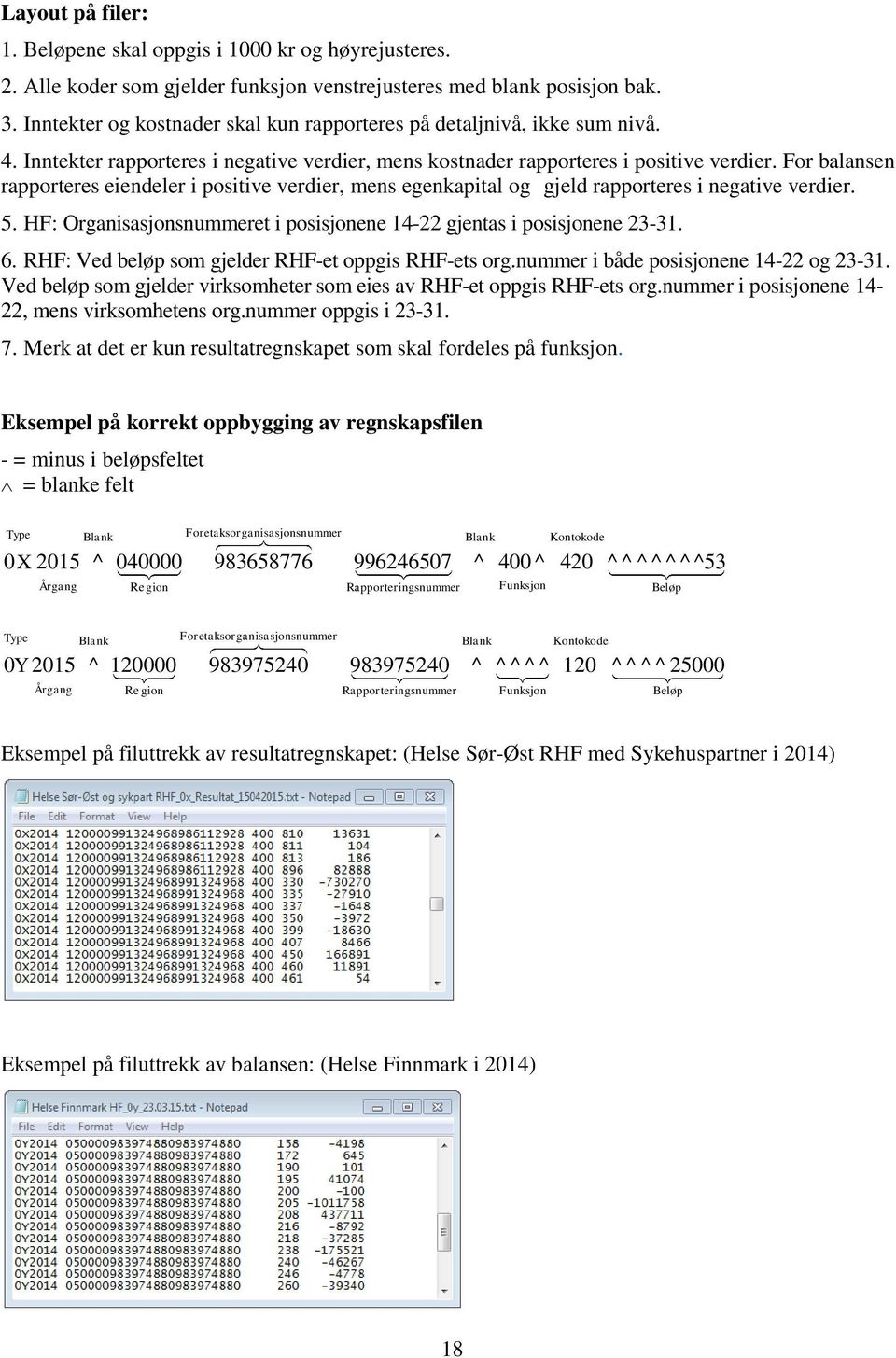 For balansen rapporteres eiendeler i positive verdier, mens egenkapital og gjeld rapporteres i negative verdier. 5. HF: Organisasjonsnummeret i posisjonene 14-22 gjentas i posisjonene 23-31. 6.