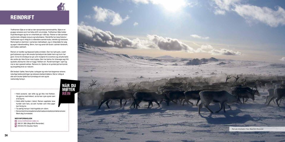 Reindrifta har lang historie i Trollheimen og er viktig for å videreføre samisk kultur, teknikk og håndverk.