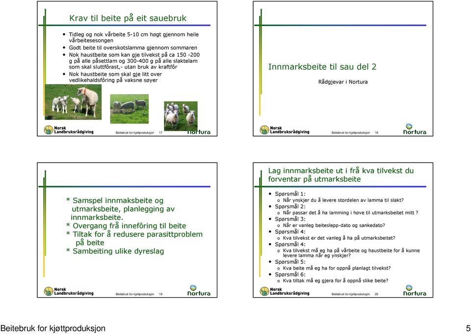 Rådgjevar i Nortura Beitebruk for kjøttproduksjon 17 Beitebruk for kjøttproduksjon 18 Lag innmarksbeite ut i frå kva tilvekst du forventar på utmarksbeite * Samspel innmaksbeite og utmarksbeite,