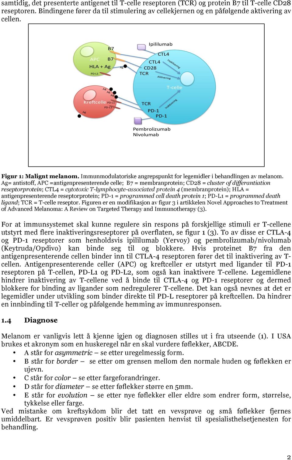 Immunmodulatoriske angrepspunkt for legemidler i behandlingen av melanom.