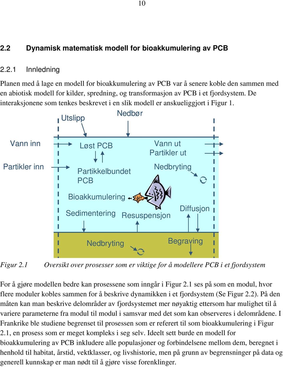 Nedbør Utslipp Vann inn Partikler inn Løst PCB Partikkelbundet PCB Vann ut Partikler ut Nedbryting Bioakkumulering Diffusjon Sedimentering Resuspensjon Nedbryting Begraving Figur 2.