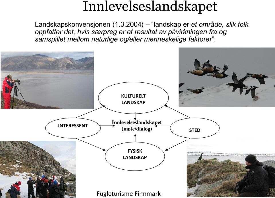 resultat av påvirkningen fra og samspillet mellom naturlige og/eller