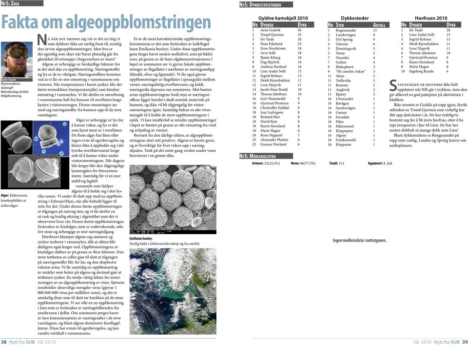 Algene er avhengige av forskjellige faktorer for at det skal skje en oppblomstring. Næringsstoffer og lys er de to viktigste.