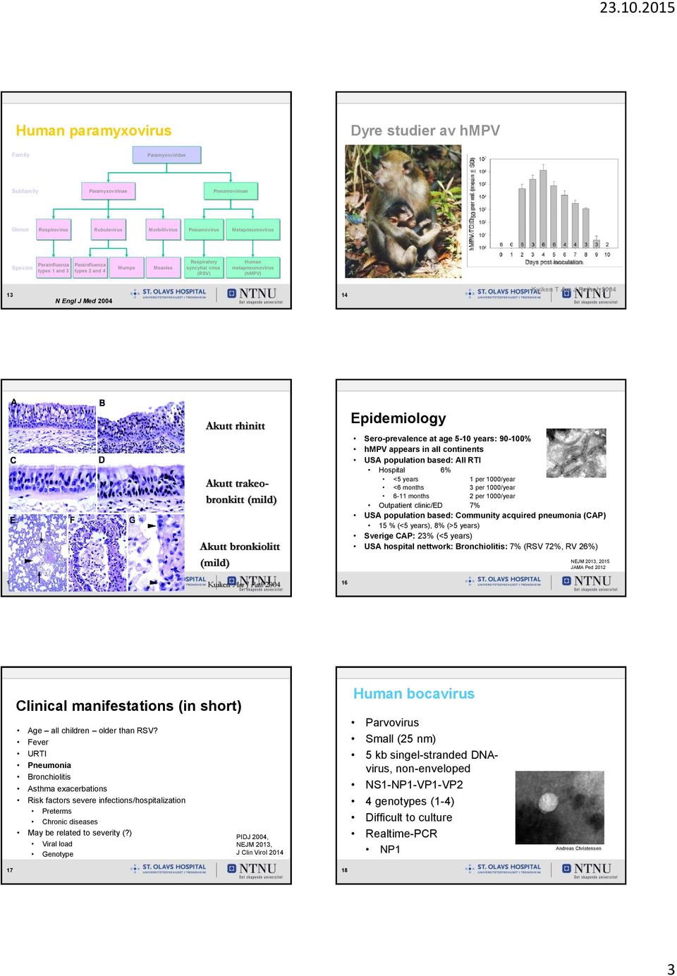 Parainfluenza Species types 1 and 3 types 2 and 4 Mumps Measles Respiratory syncytial virus (RSV) Human metapneumovirus (hmpv) Days post-inoculation 13 N Engl J Med 2004 14 Kuiken T Am J Pathol 2004