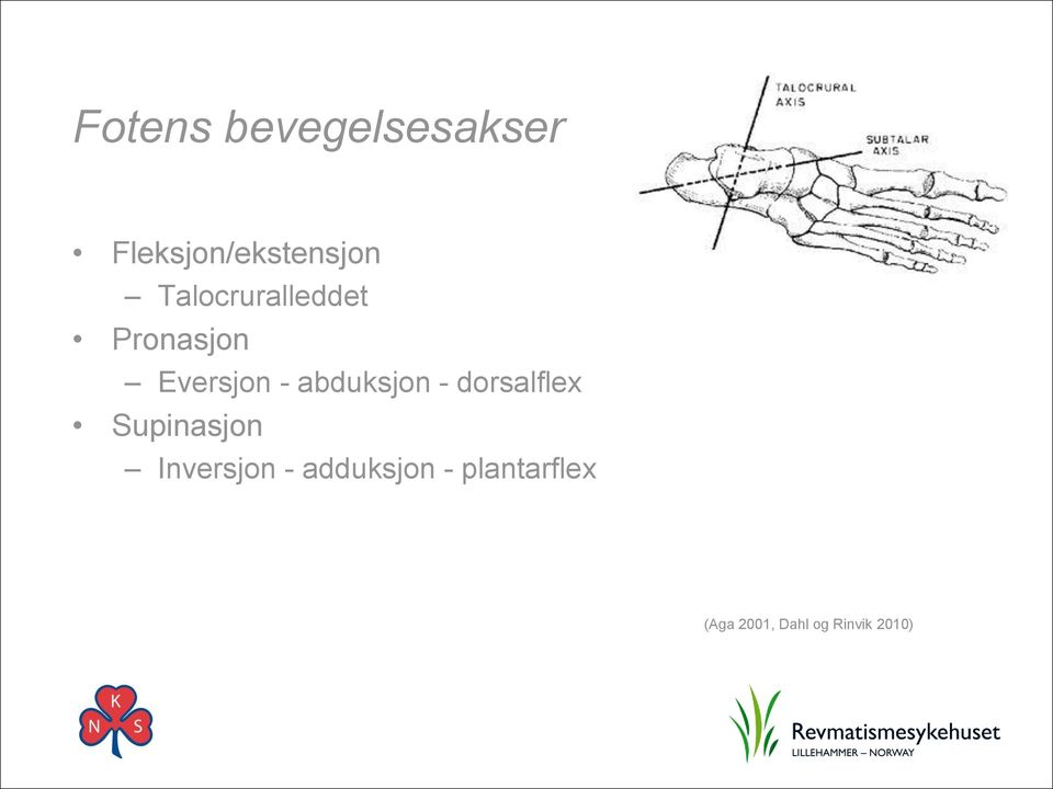 abduksjon - dorsalflex Supinasjon Inversjon -