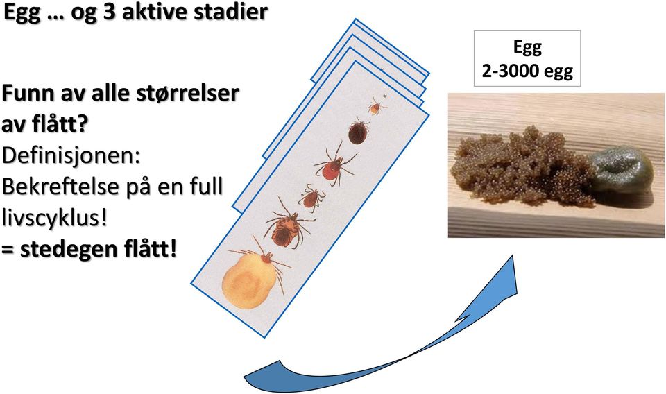 Definisjonen: Bekreftelse på en