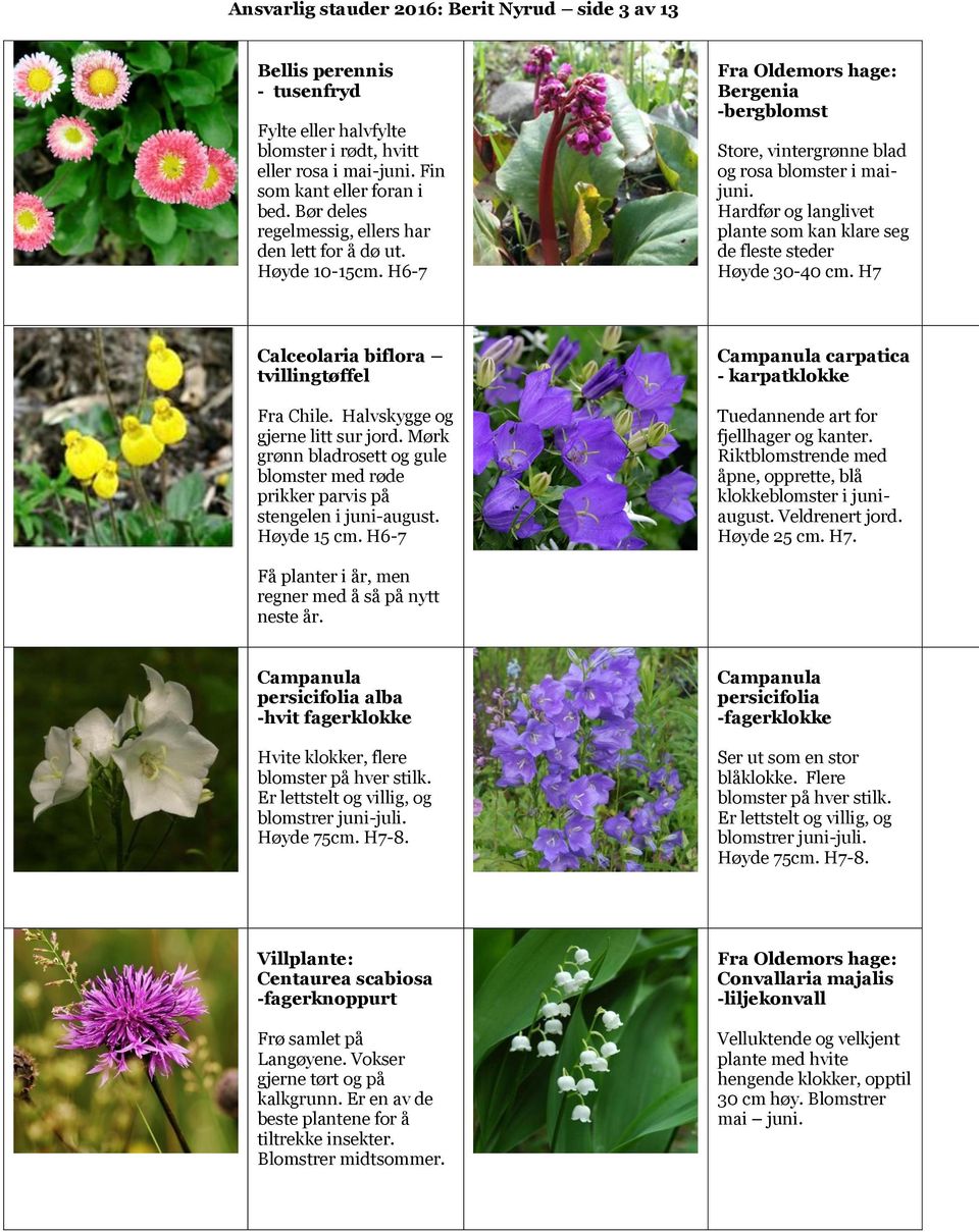 Hardfør og langlivet plante som kan klare seg de fleste steder Høyde 30-40 cm. H7 Calceolaria biflora tvillingtøffel Fra Chile. Halvskygge og gjerne litt sur jord.