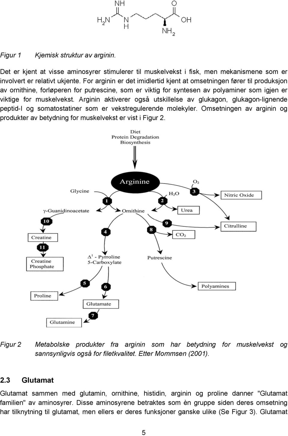 Arginin aktiverer også utskillelse av glukagon, glukagon-lignende peptid-i og somatostatiner som er vekstregulerende molekyler.