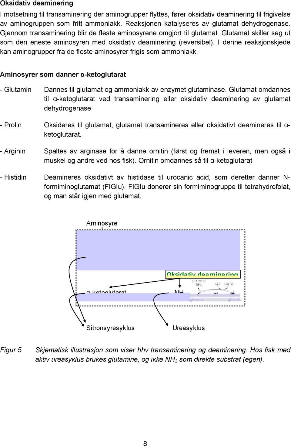 Laksen fikk tre ulike fôrtyper gjennom hele sjøfasen (3 merder per fôrtype) Standard kommeriselt tørrfôr (kontrollfôr) Kontrollfôret tilsatt arginin (argininfôr) Kontrollfôret tilsatt glutamat