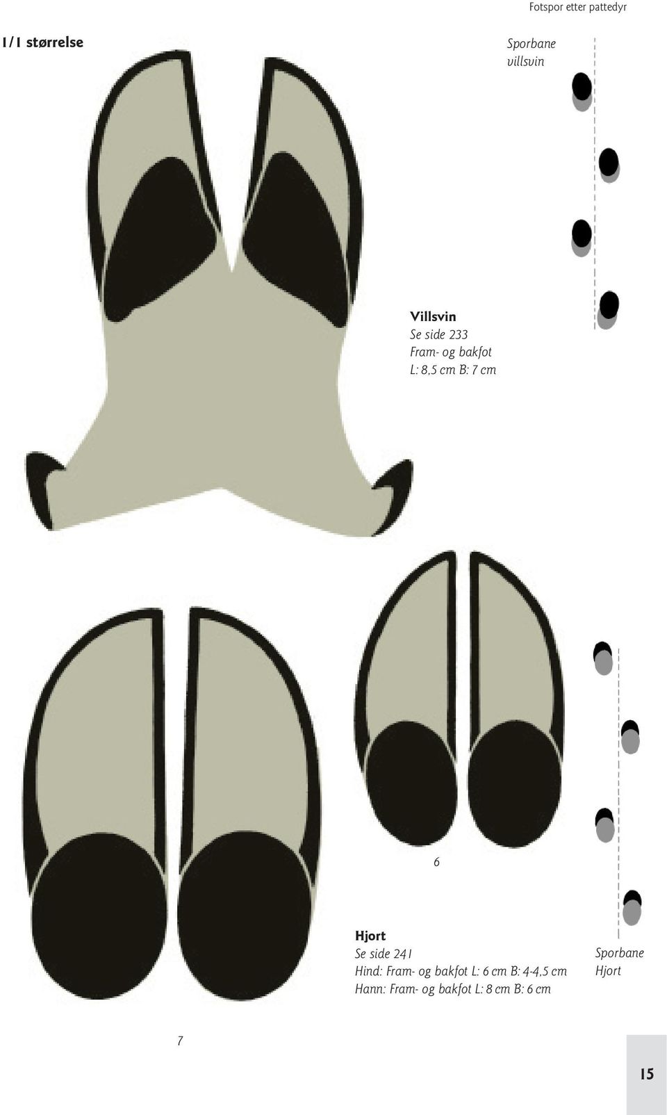 Se side 241 Hind: L: 6 cm B: 4 4,5