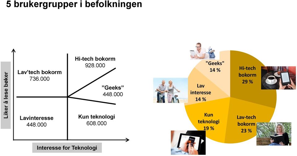 000 Lav interesse 14 % "Geeks" 14 % Hi-tech bokorm 29 %