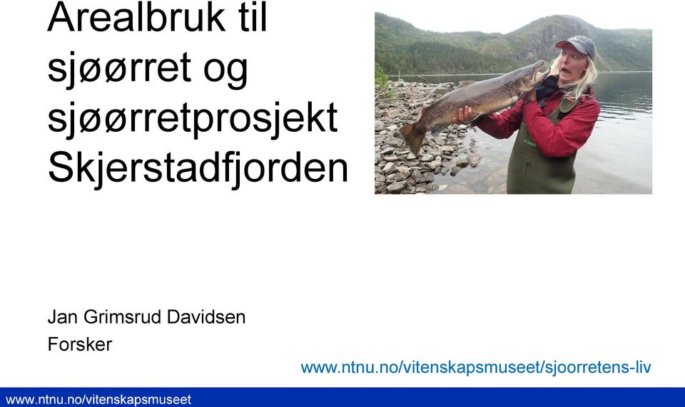 Jan Grimsrud Davidsen Forsker www.